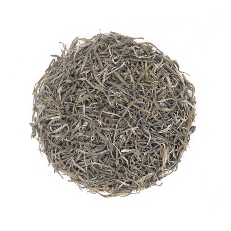 Thé vert bio Spring Needle - Aiguilles de pin - Song Zhen - 松针
