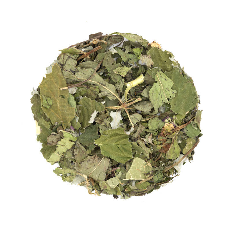 Tisane de plantes bio fortifiante - Par tous les temps