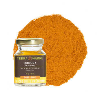 Curcuma en poudre bio