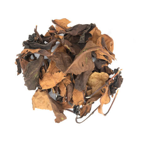 Gaba White tea Buddha Hand - Taiwan Gaba White tea Buddha Hand - Taiwan