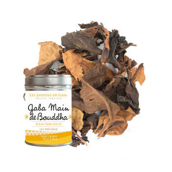 Gaba White tea Buddha Hand - Taiwan