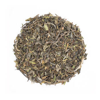 Thé vert à la menthe bio - Casablanca Dream