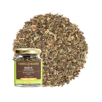 Organic basil leaves