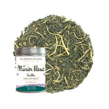 Herbal tea Japanese white mulberry leaves