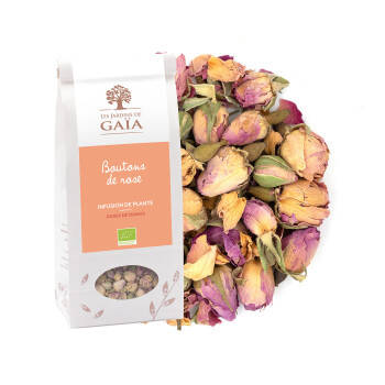 Rose buds - Damask roses