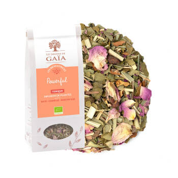 Tonic herbal tea with mate, cinnamon and goji berries - Powerful