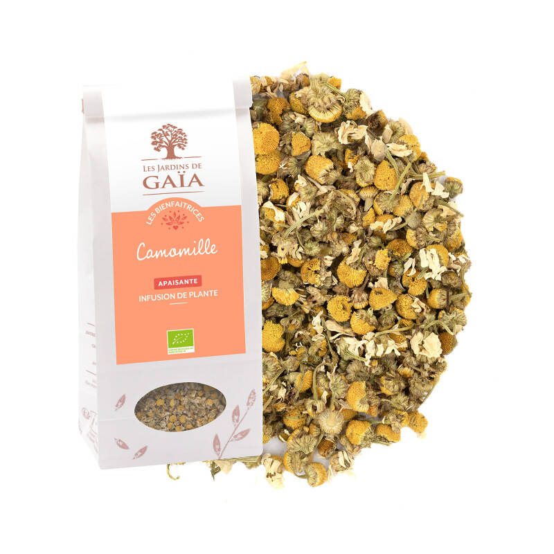Tisane de plante aux vertus apaisantes - Camomille matricaire