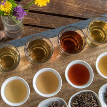 A la découverte du thé