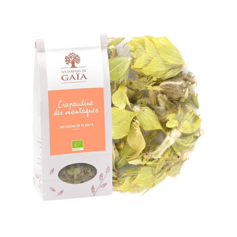 Plante de Grèce - Crapaudine des montagnes