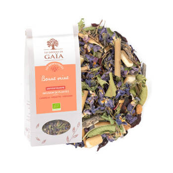 Tisane de plantes antioxydante - Bonne mine
