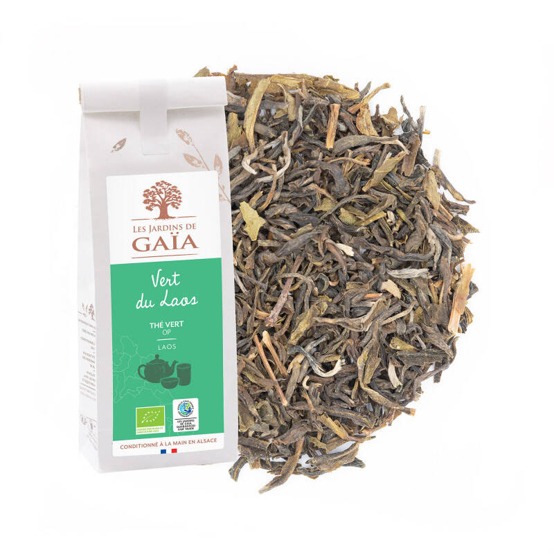 Thé vert du Laos - OP - Vert du Laos