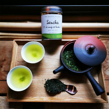 Les thés du Japon : entre ombre et lumière