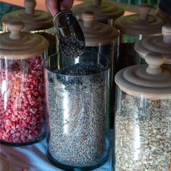 Herboristes en herbe