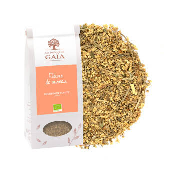 Tisane de fleurs de sureau bio