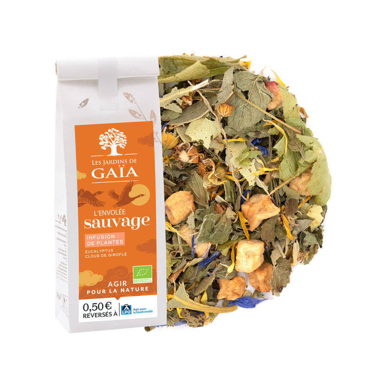 Organic herbal tea with eucalyptus and cloves - Flying Home