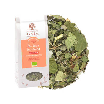 Tisane de plantes bio fortifiante - Par tous les temps