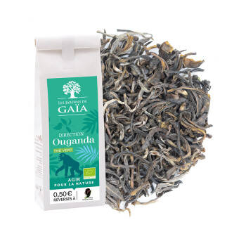 Organic green tea from Uganda - Direction Ouganda