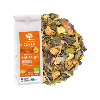 Organic herbal tea with eucalyptus and cloves - Flying Home