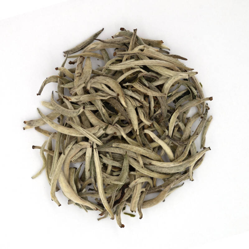 Organic white tea Mingqian China 2024 - Fuding Silver Needles Organic white tea Mingqian China 2024 - Fuding Silver Needles