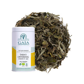 India premium black tea - Tara's Offering SFTGFOP1 FF