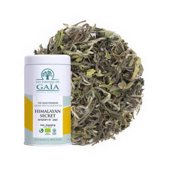 Thé noir primeur d'Inde 2025 - Himalayan Secret SFTGFOP1 FF