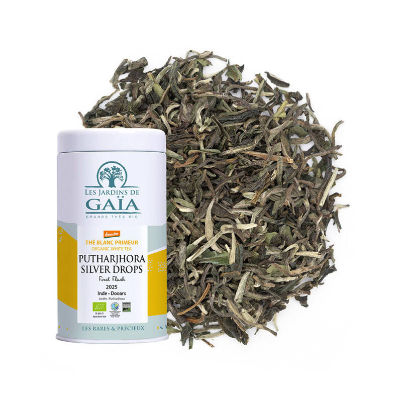 Organic white tea Primeur India 2024 - Putharjhora Silver Drops