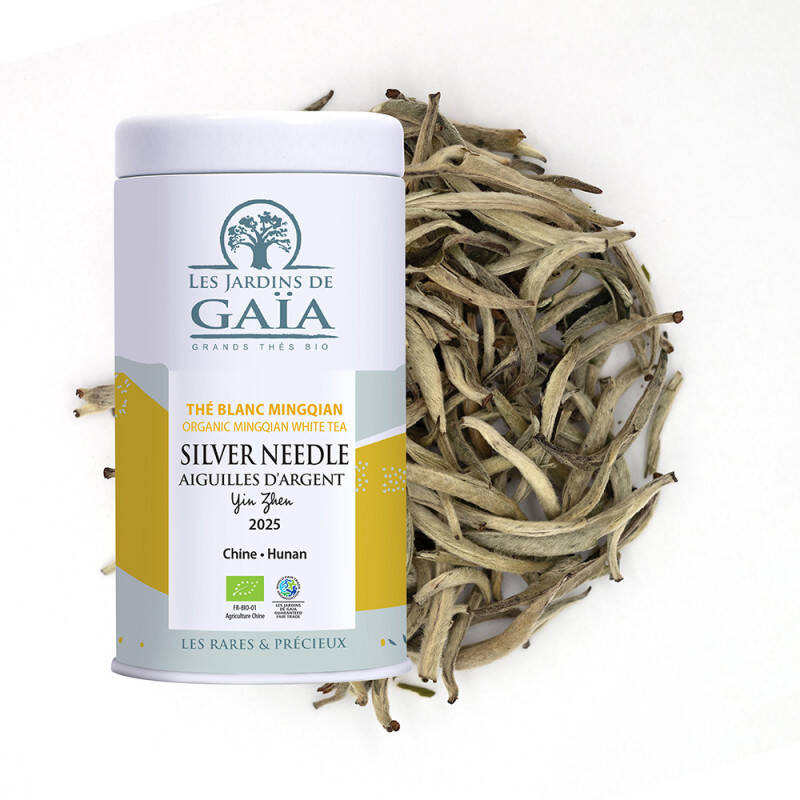 Thé blanc bio Mingqian Chine 2025 - Silver Needle Aiguilles d'argent