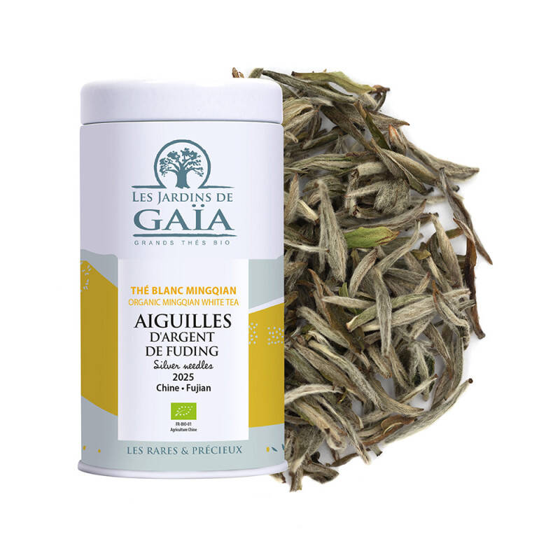 Organic white tea Mingqian China 2025 - Fuding Silver Needles