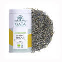 Organic green tea from China Mingqian 2025 - Spring Sprout