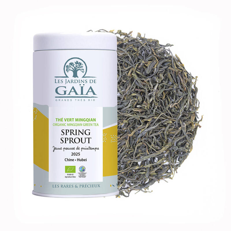 Organic green tea from China Mingqian 2025 - Spring Sprout
