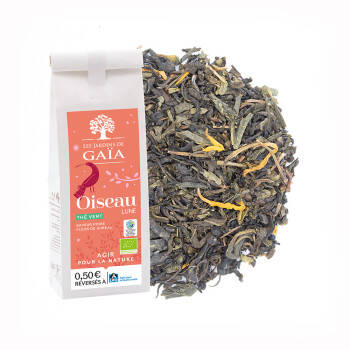 Thé vert bio saveurs poire & fleur de sureau - Oiseau Lune