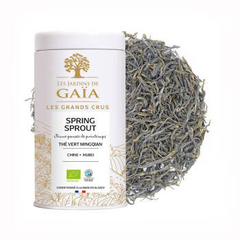 Organic green tea from China Mingqian 2025 - Spring Sprout
