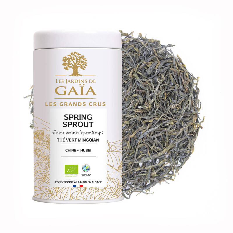 Thé vert bio de Chine Mingqian 2025 - Spring Sprout