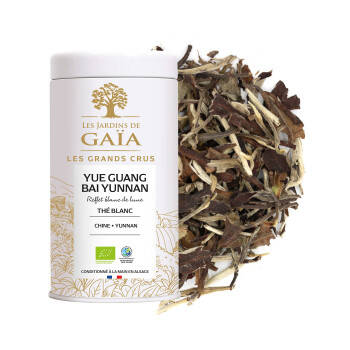 Thé blanc bio de Chine - Yue Guang Bai Yunnan