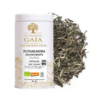 Thé blanc bio Primeur Inde 2025 - Putharjhora Silver Drops