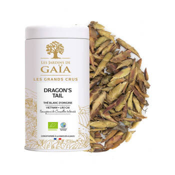 Thé blanc du Vietnam - Dragon's Tail