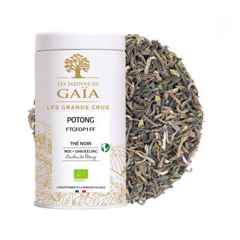 Thé noir primeur d'Inde 2025 - Potong FTGFOP1 FF Top Quality