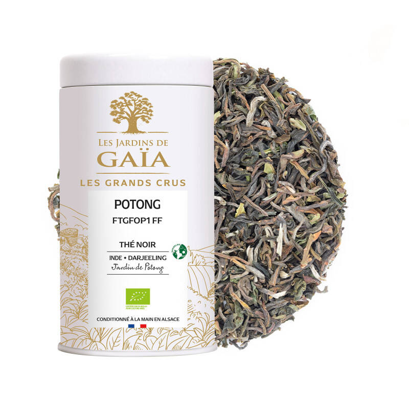 Thé noir primeur d'Inde 2025 - Potong FTGFOP1 FF Top Quality