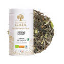 India premium black tea - Spring Secret FTGFOP1 FF