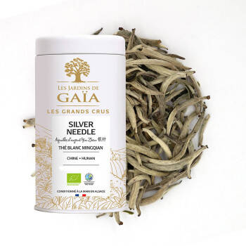 Organic white tea Mingqian China 2025 - Silver Needle