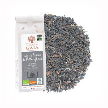 Black tea from India - The giants of Putharjhora