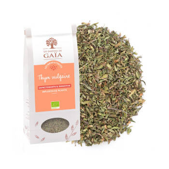 Thym vulgaire bio - Tisane expectorante et digestive