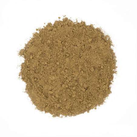 Roasted green tea powder - Hojicha powder Roasted green tea powder - Hojicha powder