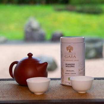 Thé oolong bio - Thé de Thaïlande - Ruanzhi wulong