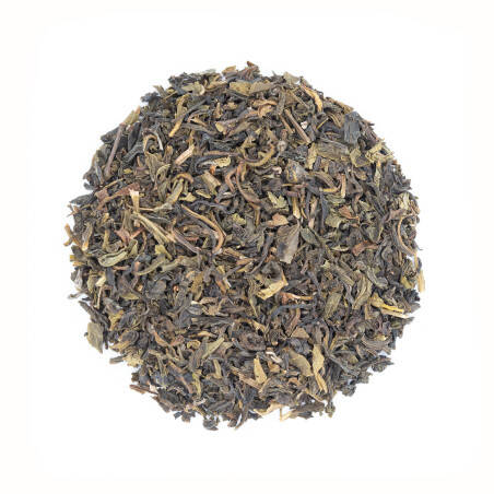 Thé vert bio du Darjeeling - Second flush - Selimbong Green Thé vert bio du Darjeeling - Second flush - Selimbong Green