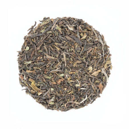 Darjeeling Spring Tea Blend - Himalayan Snows Darjeeling Spring Tea Blend - Himalayan Snows