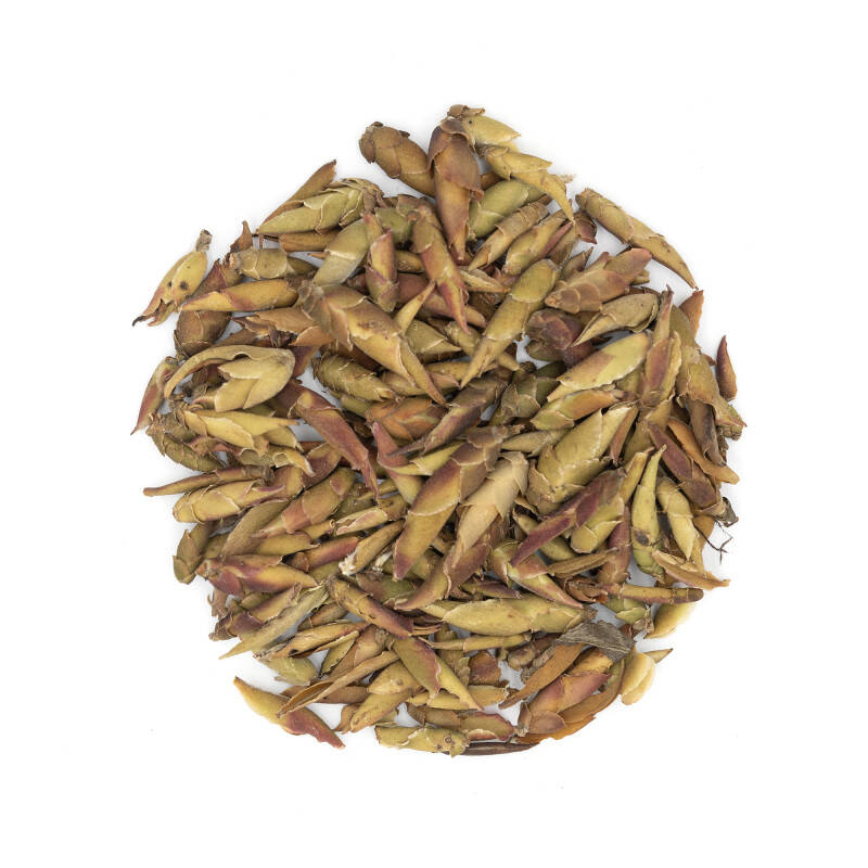 Thé blanc du Vietnam - Dragon's Tail