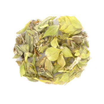 Plante de Grèce - Crapaudine - Thé des bergers