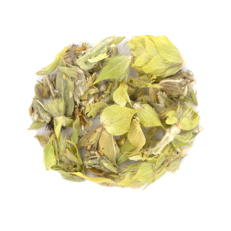 Plante de Grèce - Crapaudine - Thé des bergers