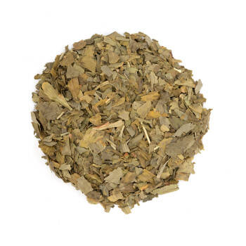 Tisane de plante française - Ginkgo